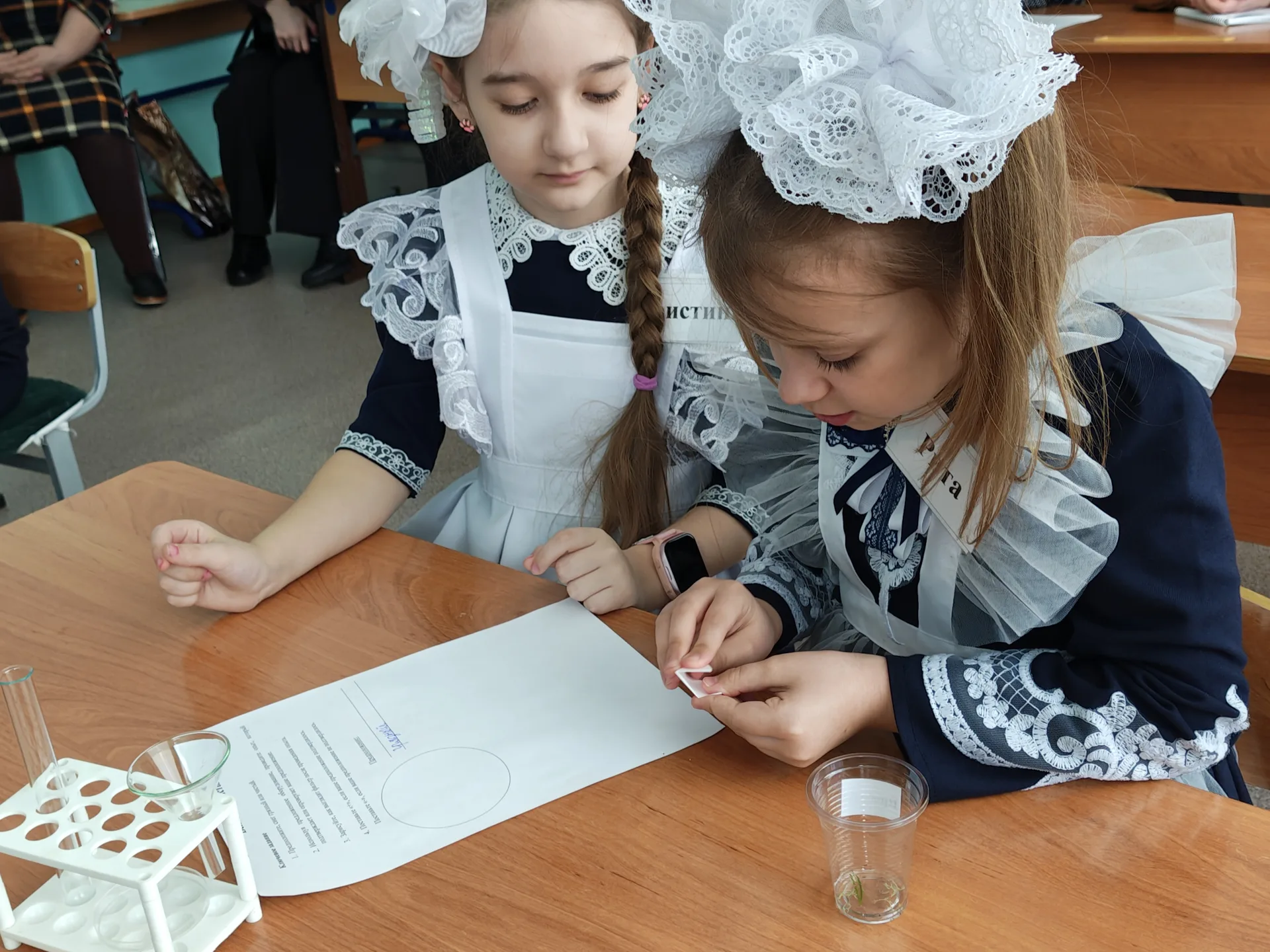 "Точка роста": новые горизонты образования в Брянковской средней школе № 5